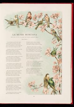 an open book with birds sitting on top of it's pages and the words la muert mericana written in spanish