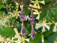 These beautiful earrings were created with 6x9mm bronzed lavender Czech glass beads and 20x9mm bronzed lavender Czech glass teardrop beads. These stunning earrings dangle from antique brass ear wires and measure 2 1/4 inches in length. These romantic and gorgeous earrings would be the perfect gift for you or someone special. Please message me if you are interested in more quantity than what is listed All of my listings are handmade with love and ready to ship!! Purple Long Drop Earrings With Ear Wire, Purple Teardrop Wire-wrapped Earrings, Purple Teardrop Wire Wrapped Earrings, Handmade Lavender Crystal Drop Earrings, Purple Long Drop Earrings As Gift, Lavender Dangle Earrings Hypoallergenic, Lavender Hypoallergenic Dangle Earrings, Purple Dangle Teardrop Earrings With Ear Wire, Purple Nickel-free Teardrop Dangle Earrings