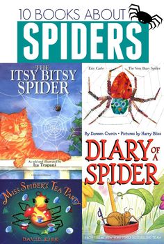 four books about spiders and their names on the front cover, with an orange cat sitting