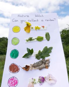 a sign that has different types of leaves and flowers on it, with the words nature watch can you collect a rainbow?