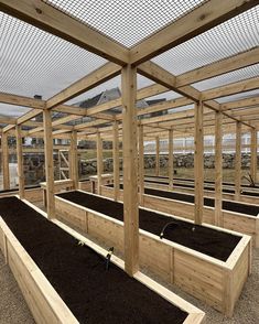 several wooden greenhouses with plants growing in them