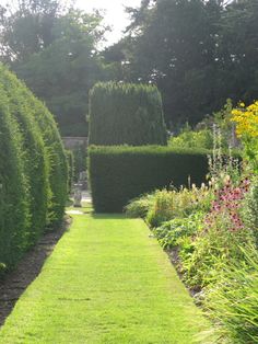 a lush green lawn surrounded by hedges and flowers