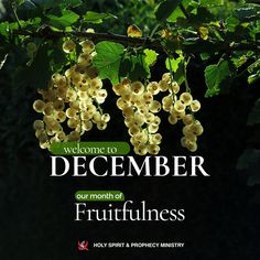 a bunch of fruit hanging from a tree with the words, welcome to december our month of fruitfulness