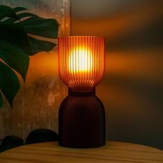 a lamp sitting on top of a table next to a plant