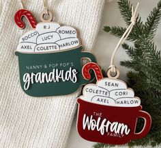 two christmas ornament hanging from a tree branch with the words grandkids on it