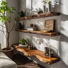 two wooden shelves with plants and books on them next to a couch in a living room