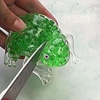 a person holding a pair of scissors in front of a green frog figurine