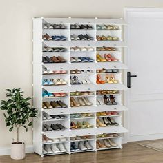 a white shoe rack filled with shoes next to a potted plant on top of a hard wood floor