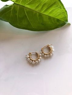 dainty hoop earring tiny hoop earring white pearl freshwater pearl handmade craft delicate elegant gold hoop jewelry earring June birthstone by Kalamajewelry on Etsy https://www.etsy.com/listing/576261752/dainty-hoop-earring-tiny-hoop-earring Hoop Jewelry, Jhumka Designs, White Pearl Jewelry, Geode Jewelry, Dainty Hoop Earrings, Tiny Hoop Earrings, Bar Stud Earrings, Jewelry Earring, Gold Earrings Designs