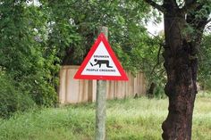 a red and white warning sign sitting on the side of a road next to a tree