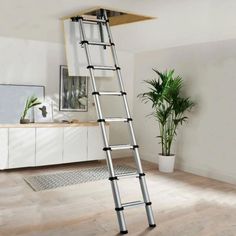 a ladder is in the middle of a room with a potted plant on it