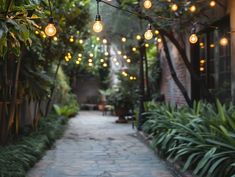 an alley way with lots of lights hanging from the ceiling and plants on either side