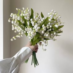 a person holding a bouquet of white flowers in their hand with the wall behind them