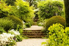 a garden with lots of trees and flowers on the ground, along with steps leading up to some bushes