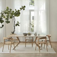 a dining room table with chairs and a potted plant