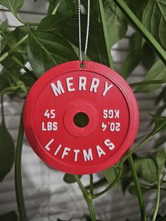 a red merry christmas ornament hanging from a tree branch with green leaves in the background