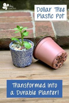 a potted plant sitting on top of a wooden table next to a plastic pot