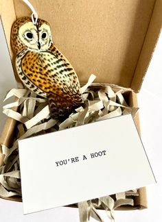 an owl ornament sitting in a box with a note saying you're a hoot