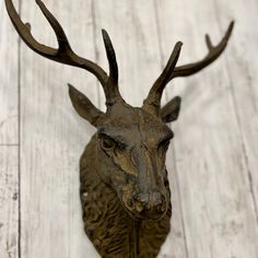 the head of a deer with antlers is shown on a white wooden background,