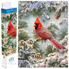 a red bird sitting on top of a pine tree next to a box