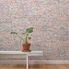 a potted plant sitting on top of a table next to a wall covered in multicolored dots