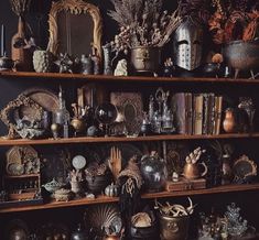 a shelf filled with lots of different types of vases and other decorative items on top of wooden shelves