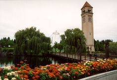 there is a clock tower in the background and many flowers on the ground below it