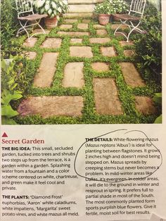 an article in the garden magazine about landscaping