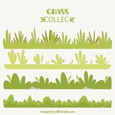 grass collection in flat design style