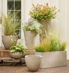 three cement planters with plants in them sitting on the steps next to a door