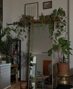 a mirror sitting in the middle of a room filled with potted plants and other things