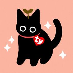 a black cat with a red tag on it's collar standing in front of stars