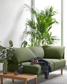 a living room with a green couch and potted plants