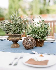 two potted plants sitting on top of a table next to plates and utensils