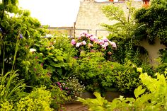 a garden with lots of plants and flowers on it's sides, next to a building