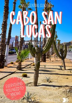 an essential guide to cabo san lucas, mexico everything you need to know about