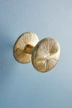 two gold knobs on a blue painted wall