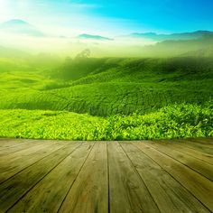 an empty wooden floor in front of a green landscape with mountains and hills behind it