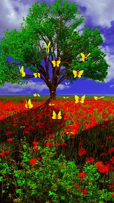 a tree surrounded by red flowers with yellow butterflies flying around it in the middle of a field