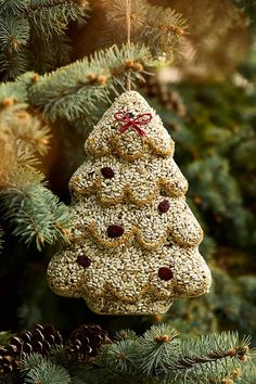 a homemade christmas tree ornament hanging from a pine tree with cones on it