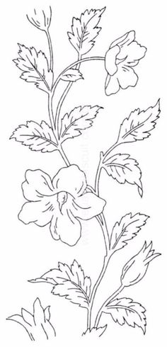 a black and white drawing of a flower