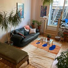 a living room filled with furniture and lots of plants on top of the rugs