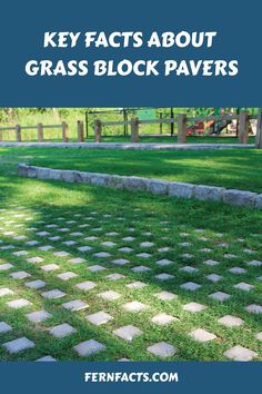 Key facts about grass block pavers. Cement Grass Pavers, Concrete Grass Pavers, Concrete Squares With Grass Between, Large Pavers With Grass In Between Diy, Grass Paver Blocks, Grass Pavers, Plastic Grass, Ferns Care, Natural Swimming Ponds