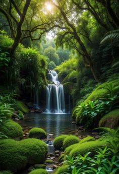 a small waterfall surrounded by lush green plants and rocks in the forest with sunlight shining through the trees