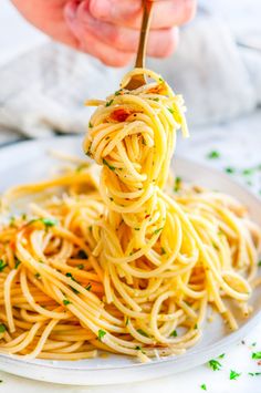 a person holding a fork full of spaghetti on a plate with parsley sprinkles