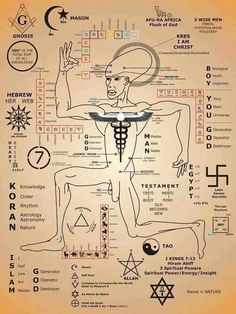 an image of the human body with all its main symbols and their names on it