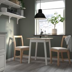 a small table and two chairs in a room with green walls, potted plants on the window sill