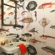 a bathroom with fish on the wall and a sink in front of it is shown