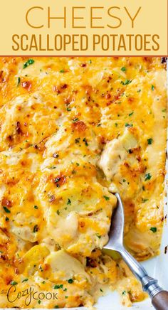 cheesy scalloped potatoes in a casserole dish with a serving spoon