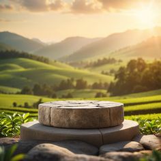 a stone bench sitting in the middle of a lush green field with mountains in the background